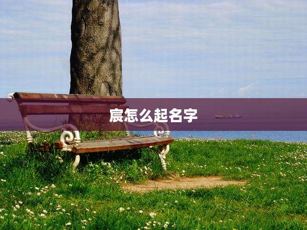 宸怎么起名字