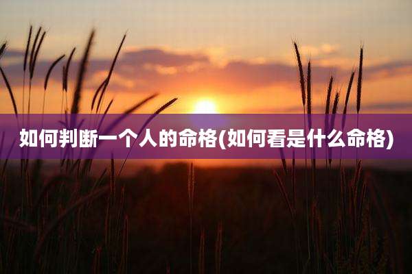 如何判断一个人的命格(如何看是什么命格)