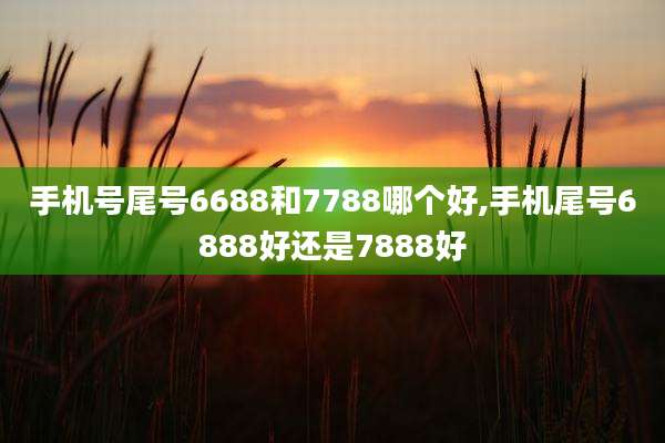 手机号尾号6688和7788哪个好,手机尾号6888好还是7888好