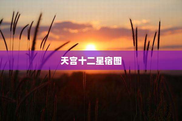 天宫十二星宿图