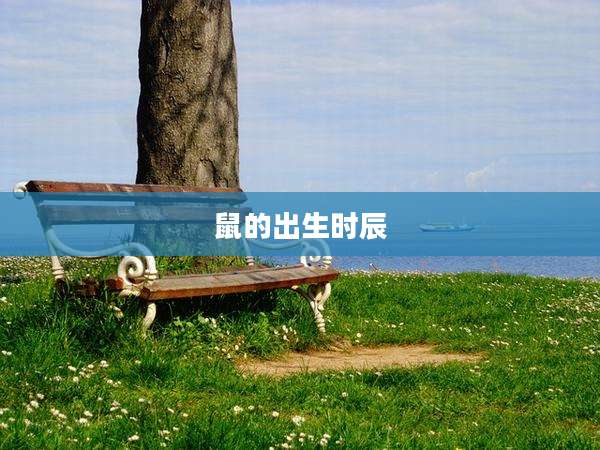 鼠的出生时辰