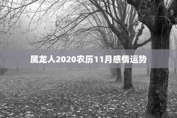 属龙人2020农历11月感情运势