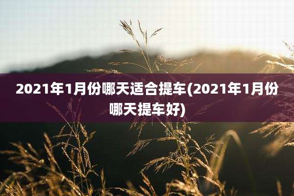 2021年1月份哪天适合提车(2021年1月份哪天提车好)