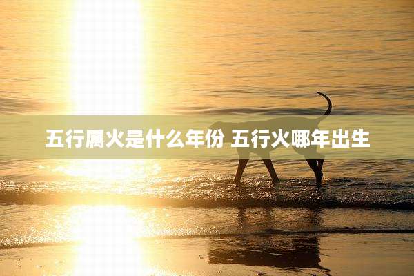 五行属火是什么年份 五行火哪年出生