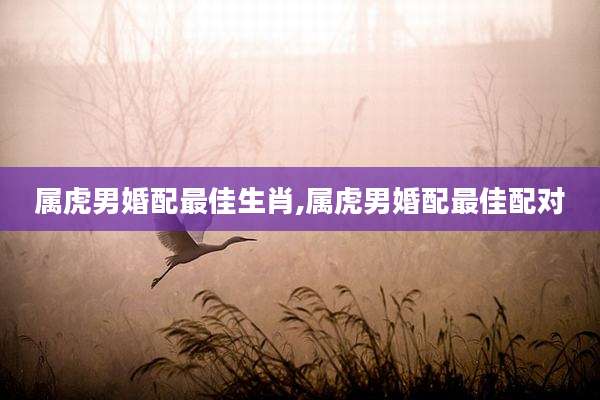 属虎男婚配最佳生肖,属虎男婚配最佳配对