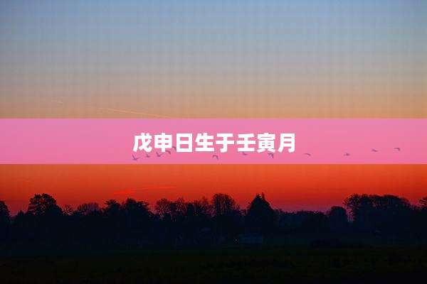 戊申日生于壬寅月