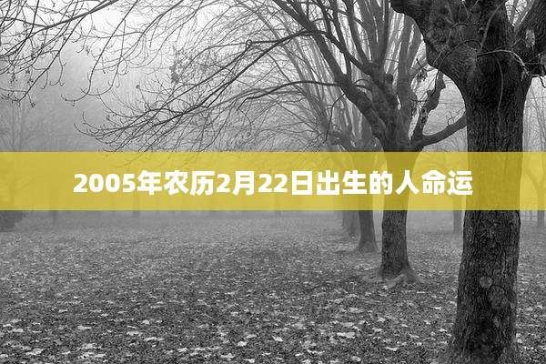 2005年农历2月22日出生的人命运