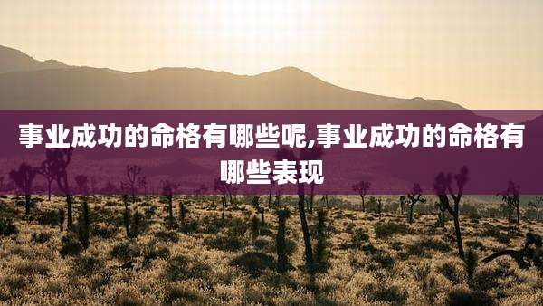 事业成功的命格有哪些呢,事业成功的命格有哪些表现