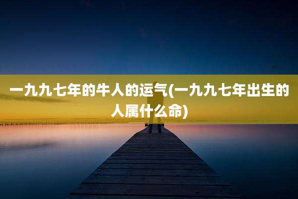 一九九七年的牛人的运气(一九九七年出生的人属什么命)