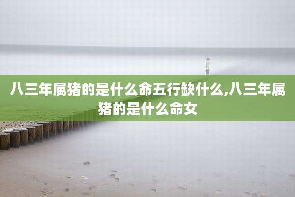 八三年属猪的是什么命五行缺什么,八三年属猪的是什么命女