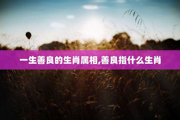 一生善良的生肖属相,善良指什么生肖