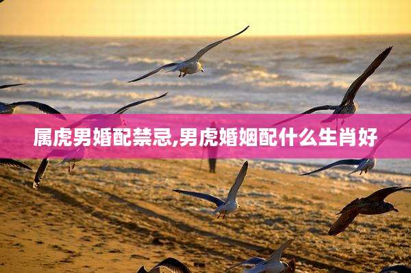 属虎男婚配禁忌,男虎婚姻配什么生肖好