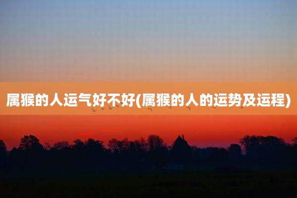 属猴的人运气好不好(属猴的人的运势及运程)