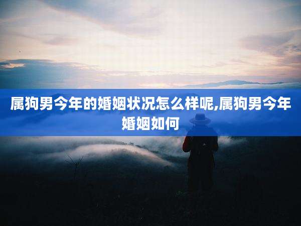 属狗男今年的婚姻状况怎么样呢,属狗男今年婚姻如何