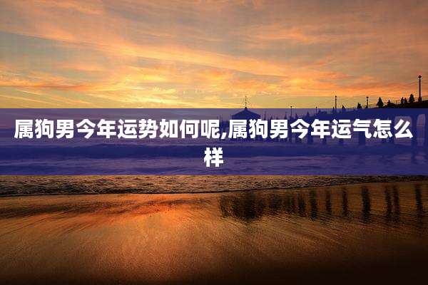 属狗男今年运势如何呢,属狗男今年运气怎么样