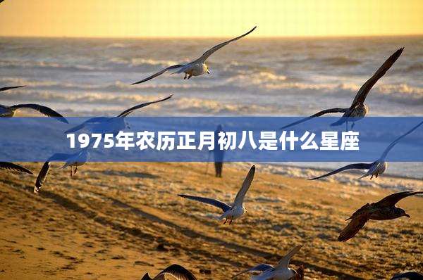 1975年农历正月初八是什么星座