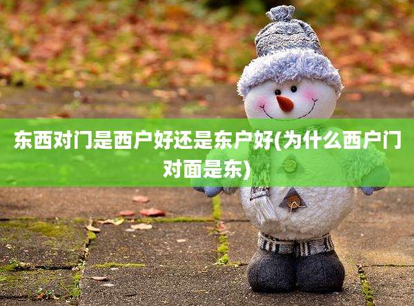 东西对门是西户好还是东户好(为什么西户门对面是东)