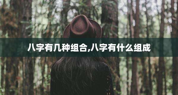 八字有几种组合,八字有什么组成