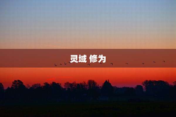 灵域 修为