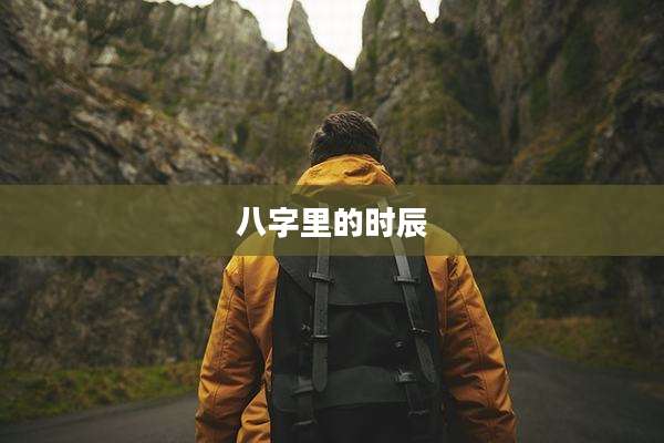 八字里的时辰