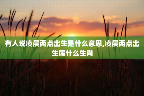 有人说凌晨两点出生是什么意思,凌晨两点出生属什么生肖