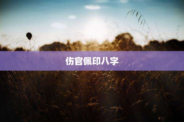 伤官佩印八字