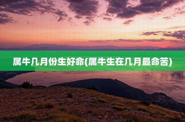 属牛几月份生好命(属牛生在几月最命苦)