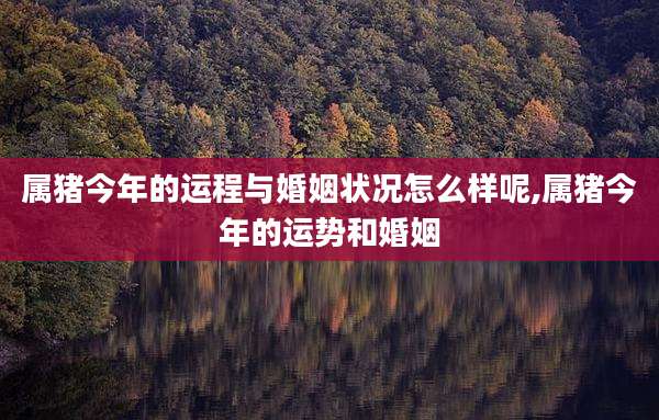 属猪今年的运程与婚姻状况怎么样呢,属猪今年的运势和婚姻