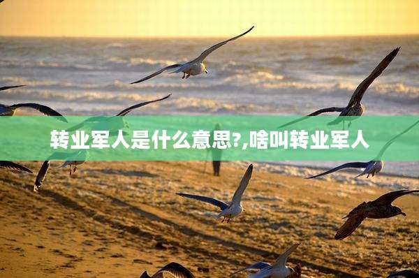 转业军人是什么意思?,啥叫转业军人