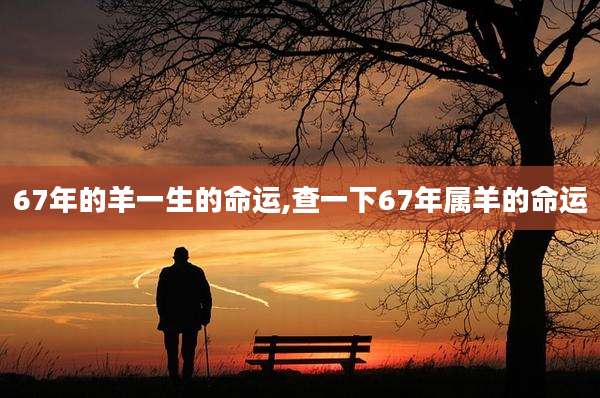 67年的羊一生的命运,查一下67年属羊的命运