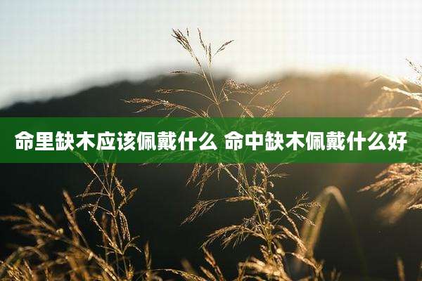 命里缺木应该佩戴什么 命中缺木佩戴什么好