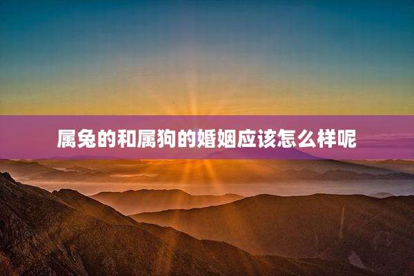 属兔的和属狗的婚姻应该怎么样呢