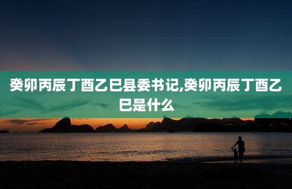 癸卯丙辰丁酉乙巳县委书记,癸卯丙辰丁酉乙巳是什么