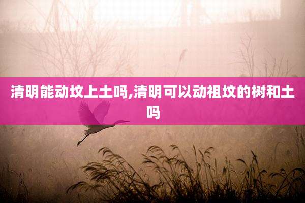 清明能动坟上土吗,清明可以动祖坟的树和土吗