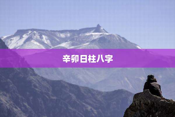 辛卯日柱八字