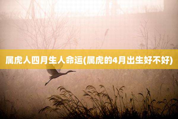 属虎人四月生人命运(属虎的4月出生好不好)