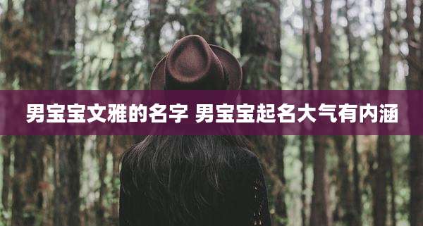 男宝宝文雅的名字 男宝宝起名大气有内涵