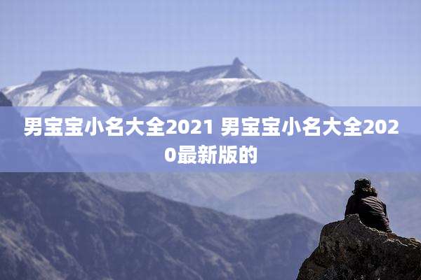 男宝宝小名大全2021 男宝宝小名大全2020最新版的