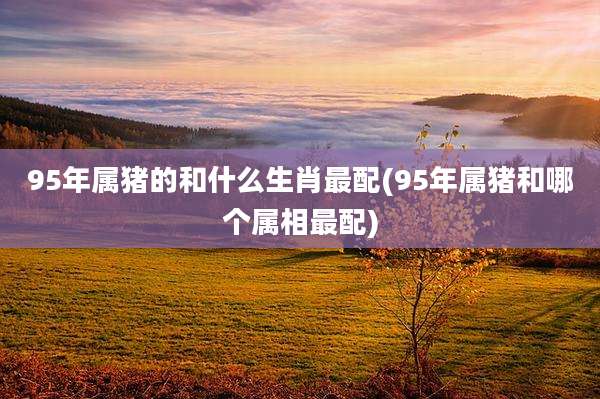 95年属猪的和什么生肖最配(95年属猪和哪个属相最配)
