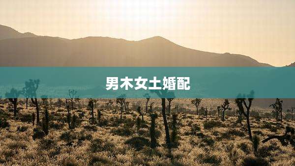 男木女土婚配