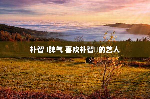 朴智旻脾气 喜欢朴智旻的艺人