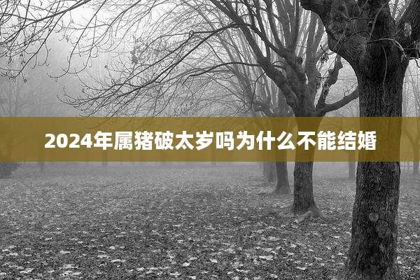 2024年属猪破太岁吗为什么不能结婚
