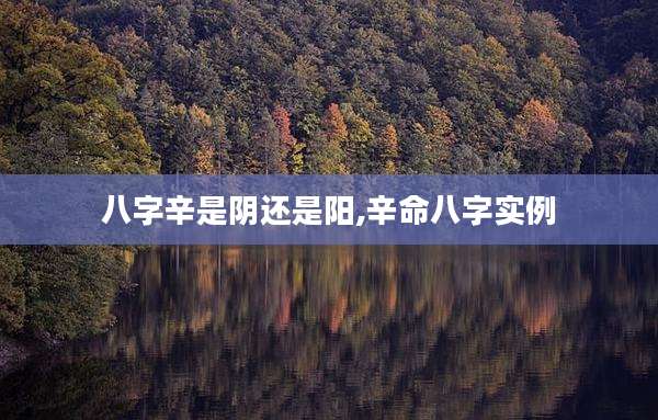 八字辛是阴还是阳,辛命八字实例