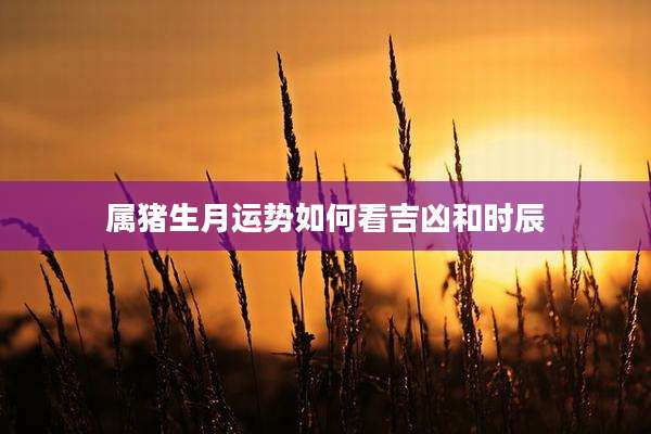 属猪生月运势如何看吉凶和时辰