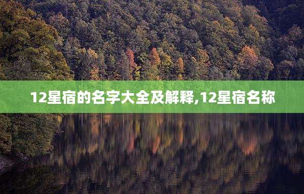12星宿的名字大全及解释,12星宿名称