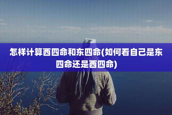 怎样计算西四命和东四命(如何看自己是东四命还是西四命)