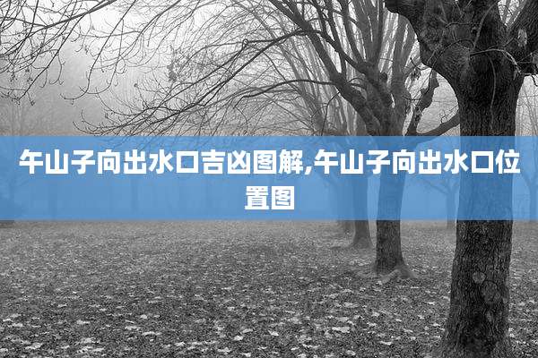 午山子向出水口吉凶图解,午山子向出水口位置图