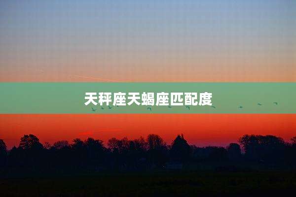 天秤座天蝎座匹配度