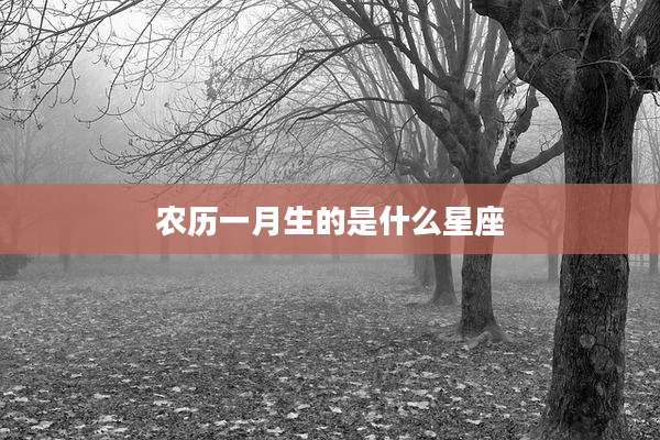 农历一月生的是什么星座