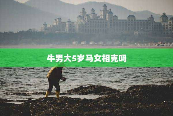 牛男大5岁马女相克吗